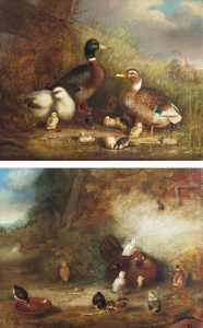 Duck and Ducklings - BENJAMIN A. HOWE