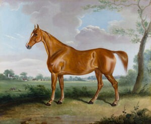 CORNELIUS JANSEN WALTER WINTER