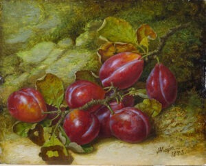 Plums by HENRY ARCHIBALD MAJOR Cambridge Fine Art Gallery