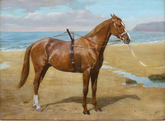 A Coastal Working Horse by FRANCIS MABEL HOLLAMS, S.W.A., 1877-1963 Cambridge Fine Art Gallery